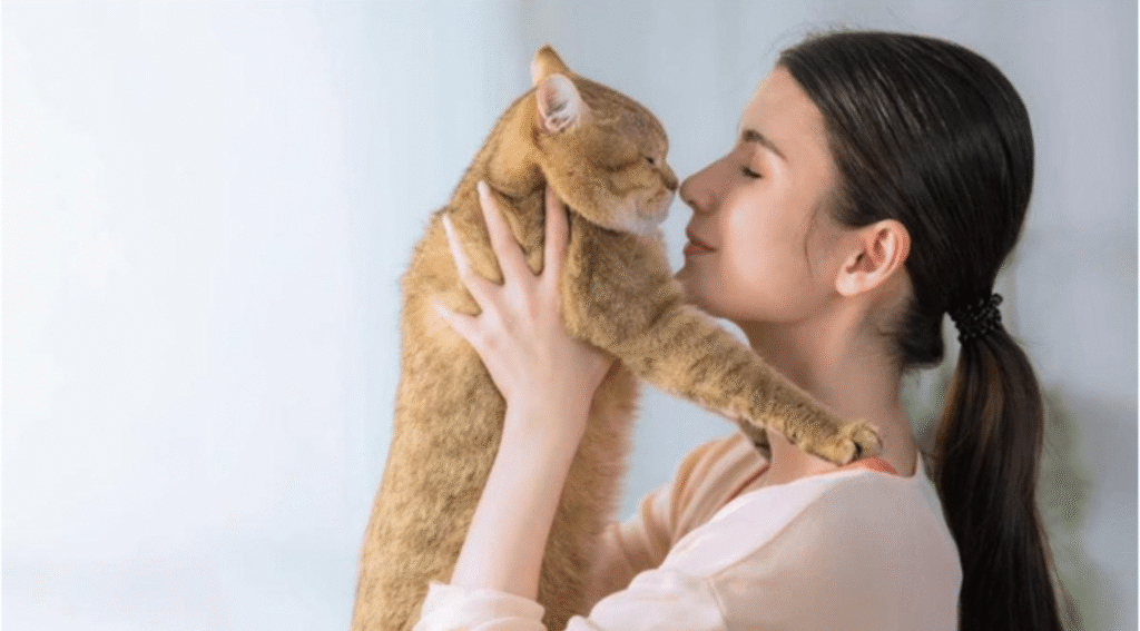 Cat Grooming Care and Bonding